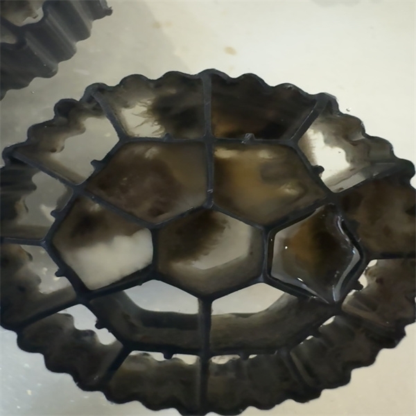 реактори биофилми кати ҳаракаткунанда mbbr Technology-1.jpg